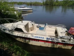 Yamaha Fish 15. 1999 ���, ����� 4,6��., ��������� ���������, 40��.�., ������ ����