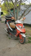 Eurotex Steed. 72����. ��., �������� ����