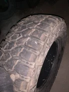 Lakesea Crocodile. ����� mt, 2018 ���, �/�, ����� 10 % ����