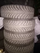 Sava Eskimo Stud. ������, 2021 ���, ����� ����