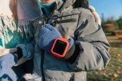 Geozon Life. GPS ����