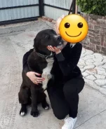 ��������������� �������. ����
