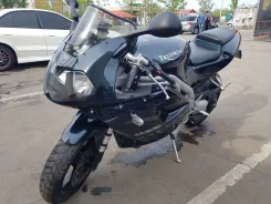 Triumph Daytona. 955����. ��., ��������, ���������, ��� ������� ����