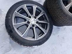 Effiplus. �����������, 2016 ���, �/�, ����� 20 % ����