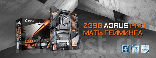 Z390 ����