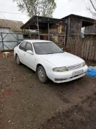 Nissan Bluebird. ��������, 4wd, 2.0 (75��.�.), ������, 142 700����. �� ����