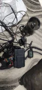 Jaguar ����