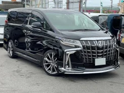Toyota Alphard. �������, 4wd, 2.5, ������, 13 000����. ��, �/�. ��� ����� �� ������������ ����