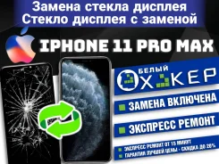 ������ �������. ����