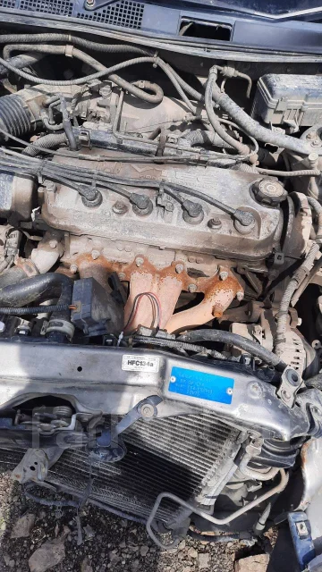 Honda Torneo. CF4, F20B ����