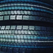 Annaite 785. �����������, 2021 ���, ����� ����