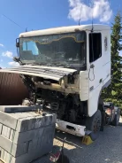 DAF XF95 ����