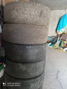 Triangle TR797. ������, ��� �����, 2017 ���, �/�, ����� 50�% ����