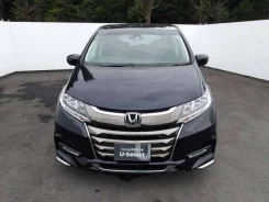 Honda Odyssey. �������, ��������, 2.0, ������, 15 000����. ��. ��� ����� �� ������������ ����