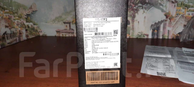MSI GF75. 17.3", 2,4����, ��� 24 ��, ���� 1 163���, WiFi: 1, Bluetooth: 1, ����������� �� 6��. ����