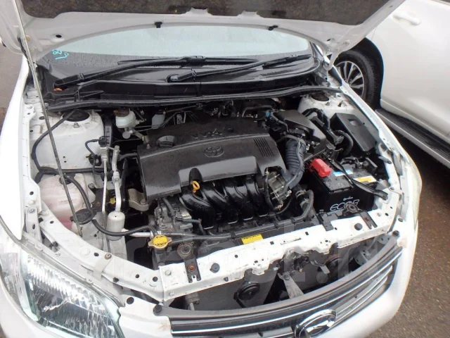 Eco.R. 55��.�., ��������, ������������ ��� ����