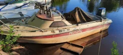 Yamaha Fish 15. 1991 ���, ����� 4,6��., ��������� ���������, 60��.�., ������ ����