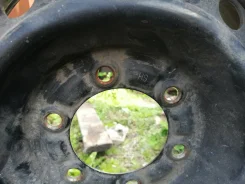 Grass HS. x15" ����