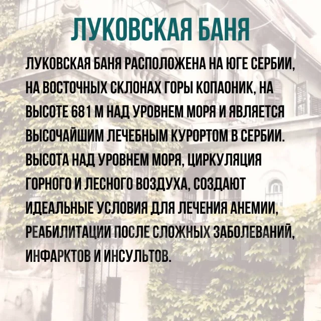 ������. �������. �������-��������������� ���. ������ - ���������� ������� ����