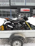 Bajaj Pulsar 180. 180����. ��., ��������, ���, � �������� ����