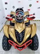 Yamaha Wolverine 450. ��������, ���� ���\���, � �������� ����