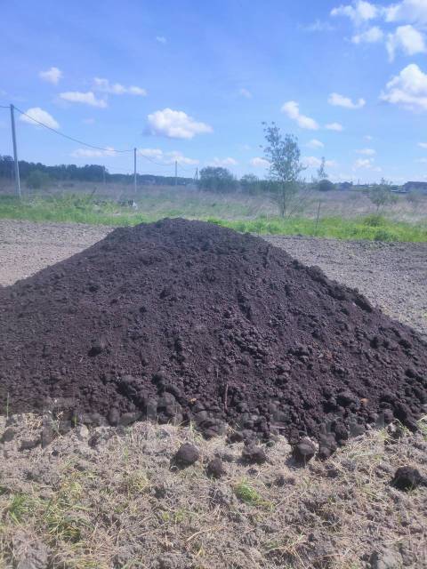 Торф полезное ископаемое. Образование торфа план сообщения. О торфе в последнее время. Коричневый торф. Месторождения торфа.