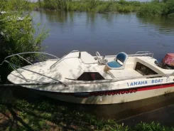 Yamaha Fish 15. 1999 ���, ����� 4,6��., ��������� ���������, 40��.�., ������ ����