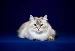 �������.