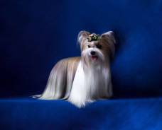 �������.