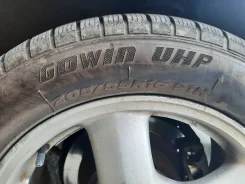 Goform Gowin UHP. ������, ��� �����, 2019 ���, �/�, ����� 40 % ����
