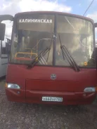 ���� 4238 ����