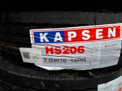Kapsen HS206. �����������, 2021 ���, ����� ����