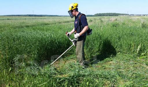 Покос травы в Находке