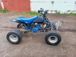 Suzuki Quadracer LT250R. ��������, ���� ���\���, � �������� ����