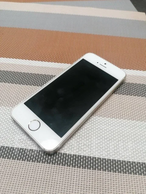 Apple iPhone 5s. �/�, ������� ����