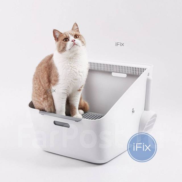 Petkit pura hot sale cat