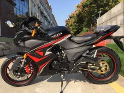 Falcon Speedfire 250. 250����. ��., ��������, ���, ��� �������. ��� ����� �� ������������ ����