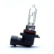 ��������� �10(9145) 12v 42w py20d (�1/10/200) ������ 12410 12410 ����