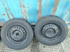 Falken Espia MV03. ������, ��� �����, �/�, ����� 30�% ����