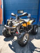 Grizzly. ��������, ��, ��� �������. ��� ����� �� ������������ ����