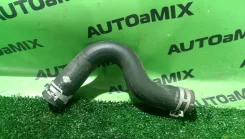 �������� ��������� Nissan Note E12/ Micra K13 215013HD1A ����