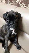 ������. ����