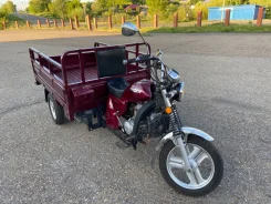 Racer Muravei RC200ZH. 200����. ��., ��������, ���, ��� ������� ����
