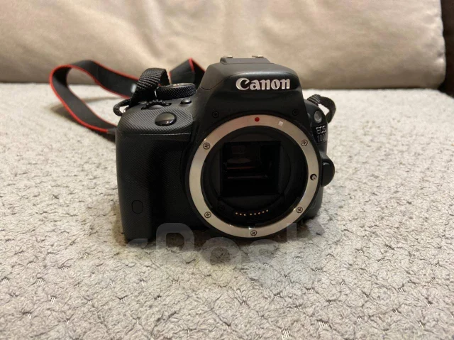 Canon EOS 100D. 15 - 19.9 ��, ���: 3� ����