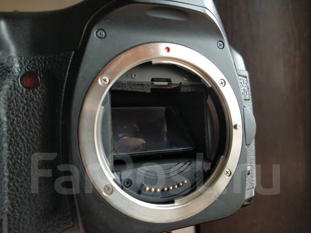 Canon EOS 5D. 10 - 14.9 ��, ���: ��� ���� ����