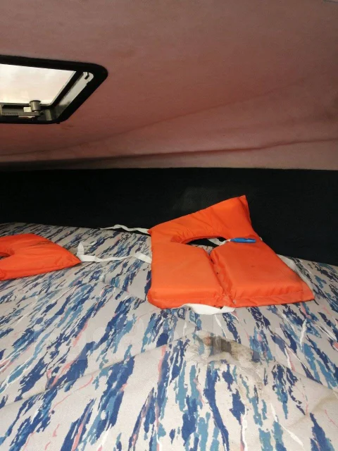 Bayliner. 1992 ���, ����� 6,35��., ��������� ������������, ������ ����