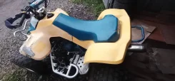 Suzuki Quadracer LT250R. ��������, ���� ���\���, � �������� ����