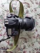 Nikon D800. 20 � ����� �� ����