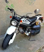 Suzuki Street Magic II. 49����. ��., ��������, � �������� ����