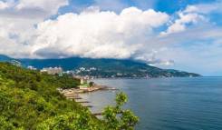 ������������. ��� "��". ���. �������, �� 1-� ���������, 49 ����